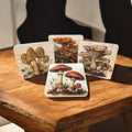 Wild Mushroom Coaster Set | Botanical Woodland Coasters | Handmade Set of 4